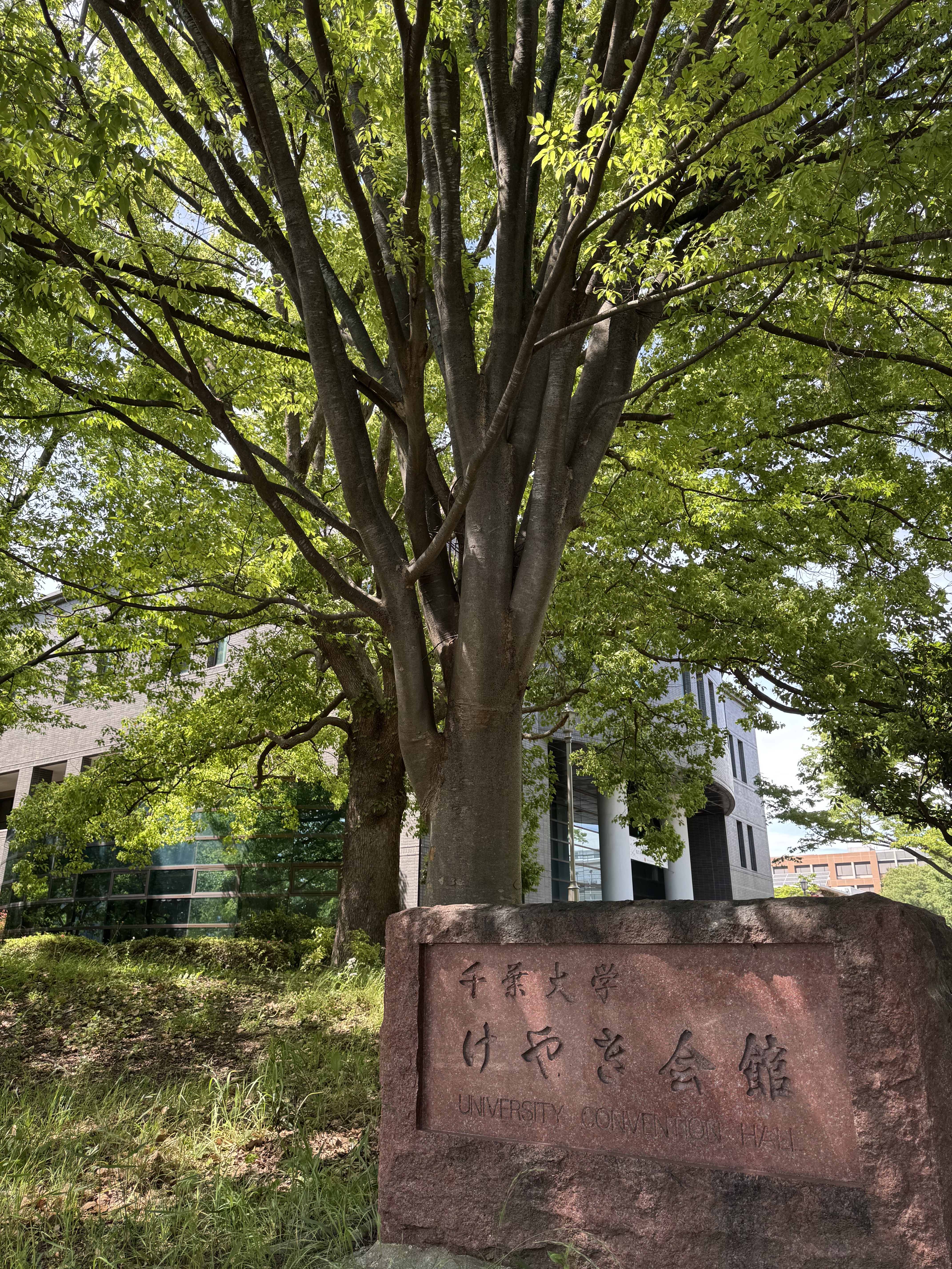 千葉大学西千葉キャンパスのけやき会館